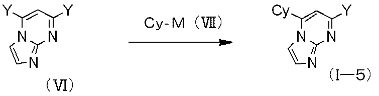 Figure JPOXMLDOC01-appb-C000010