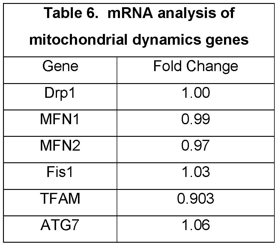 Figure imgf000053_0001