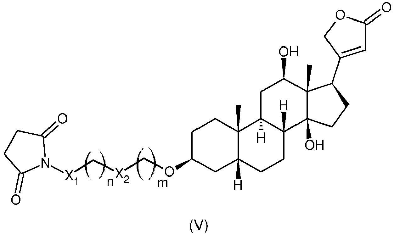 Figure imgb0004
