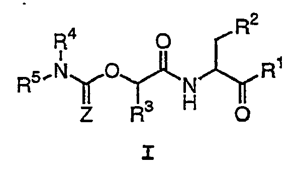 Figure imgb0112