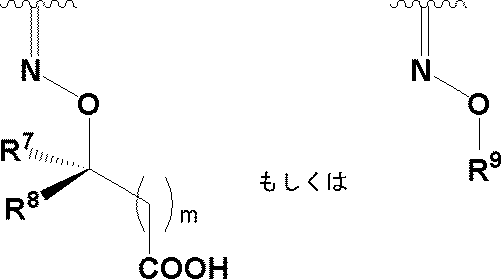 Figure JPOXMLDOC01-appb-C000034