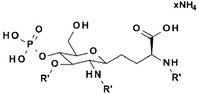 Figure imgb0145