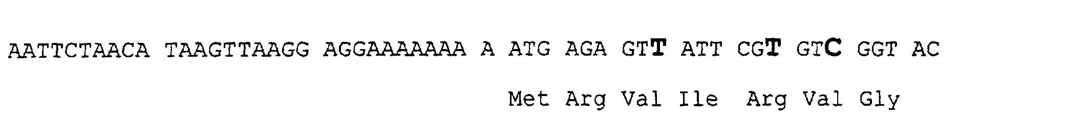 Figure 00310001