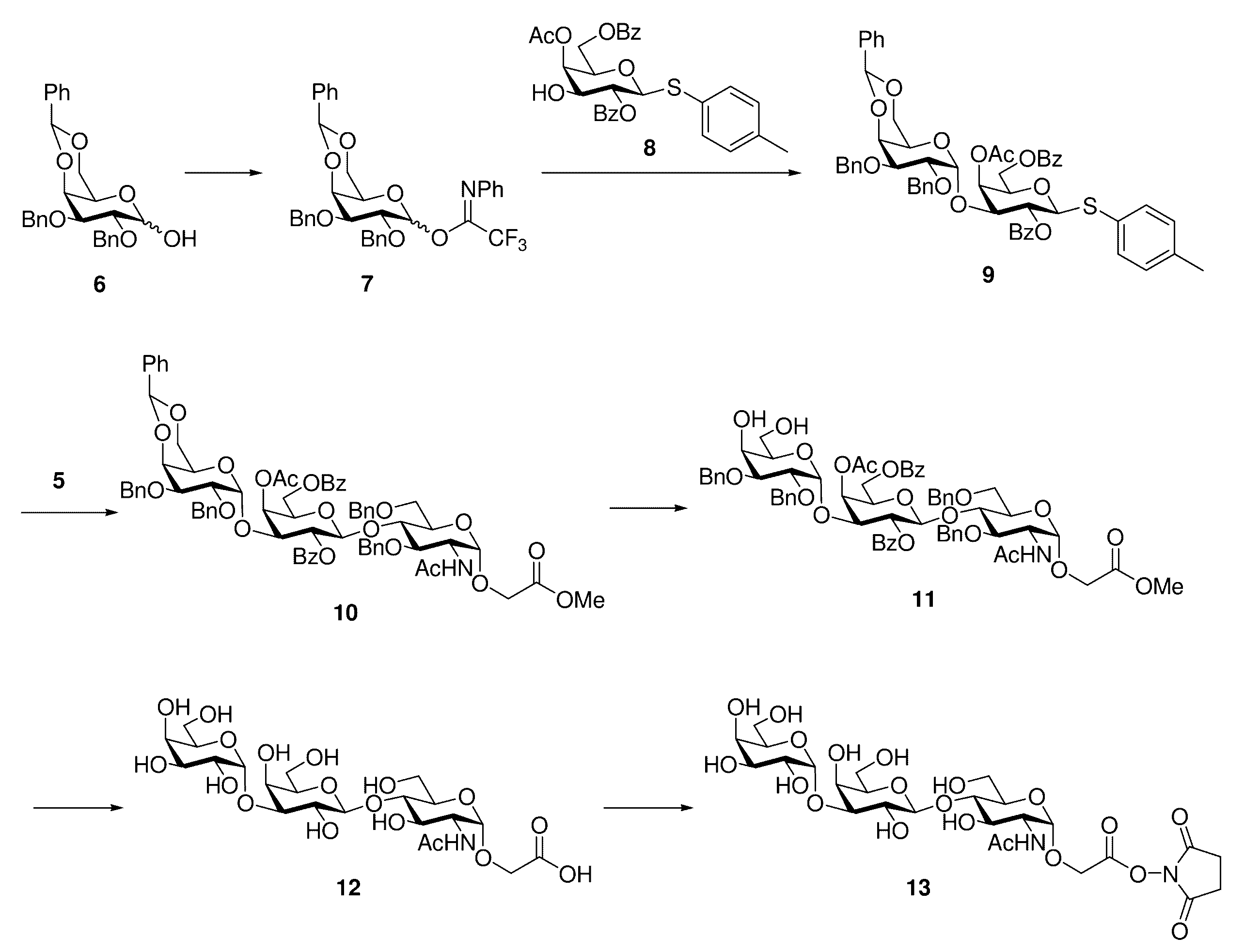 Figure JPOXMLDOC01-appb-C000023