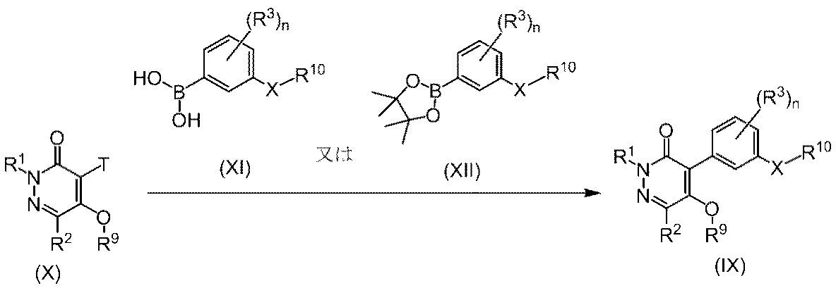 Figure JPOXMLDOC01-appb-C000008