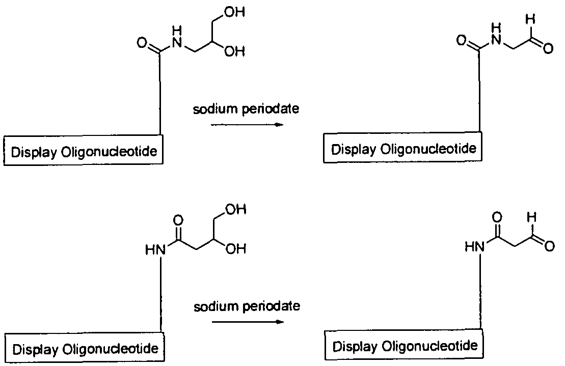 WO2011127933A1 - Bi-functional complexes and methods for making