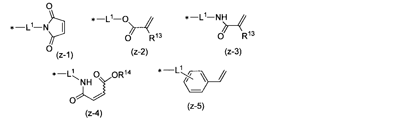 Figure JPOXMLDOC01-appb-C000015