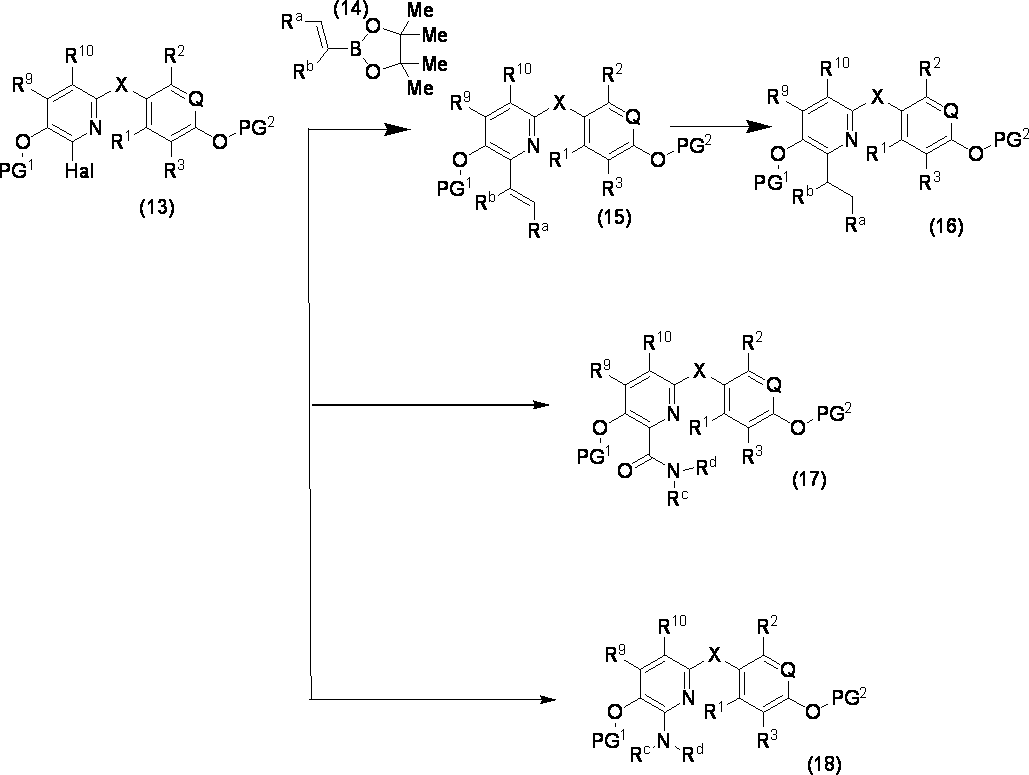Figure JPOXMLDOC01-appb-C000018