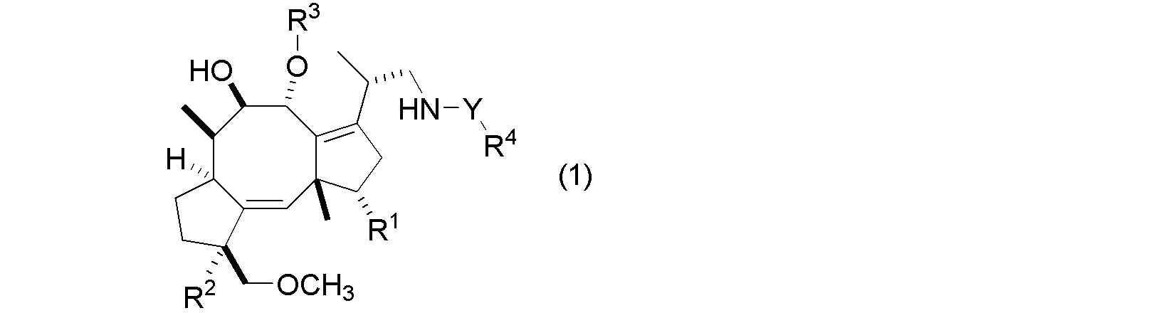 Figure JPOXMLDOC01-appb-C000023