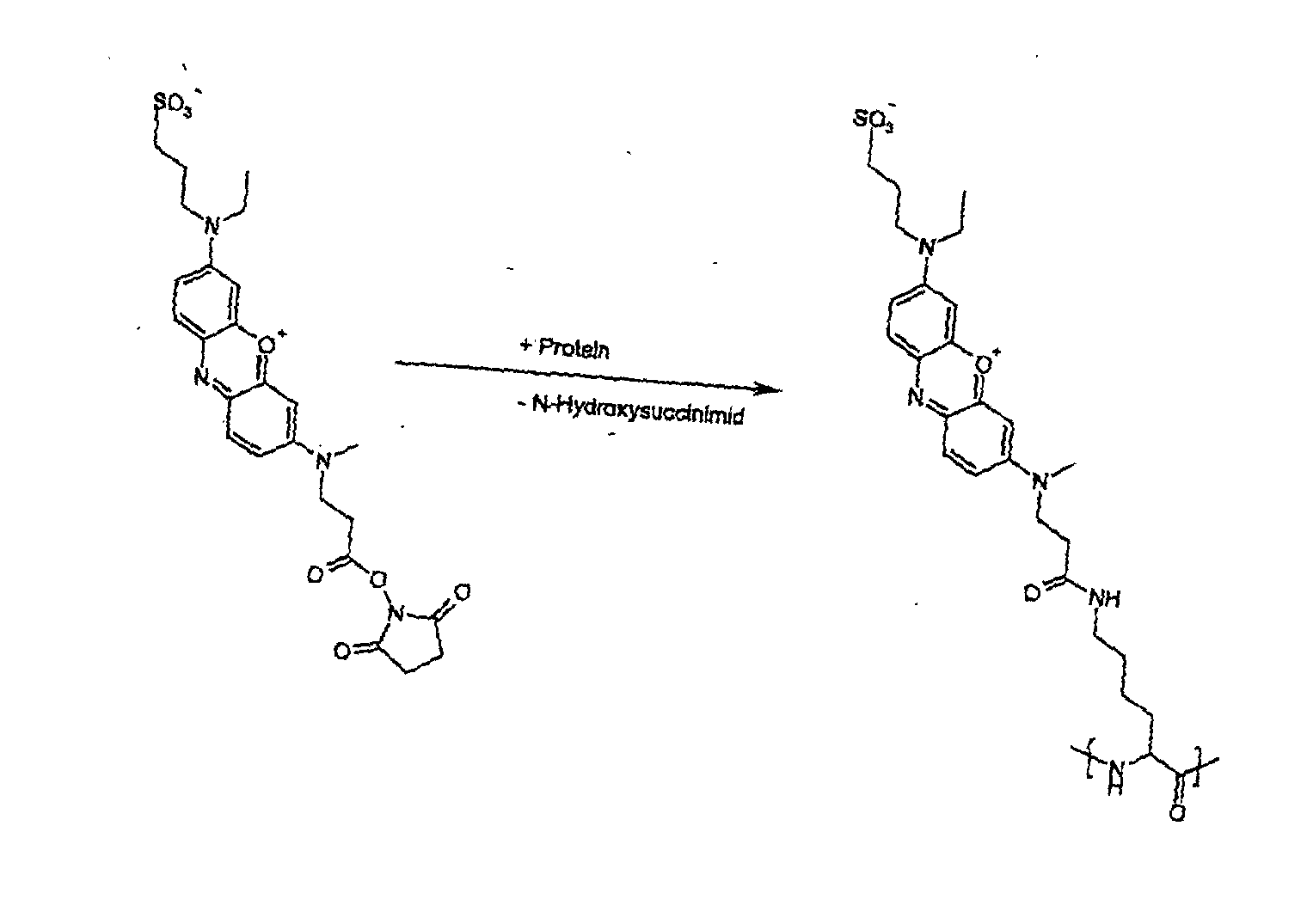 Figure 00210002