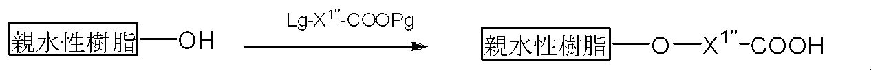 Figure JPOXMLDOC01-appb-C000016