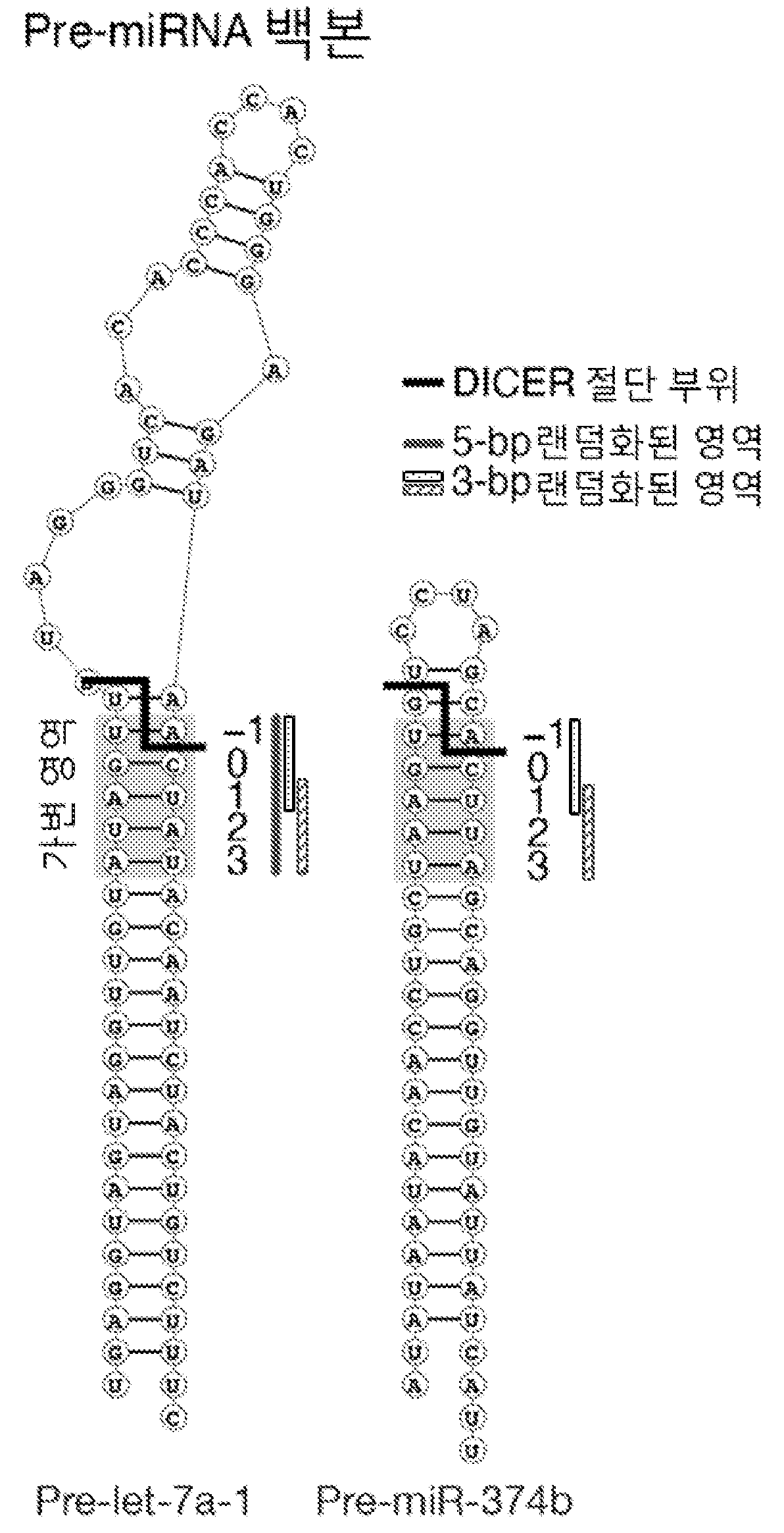 특허 도면 26