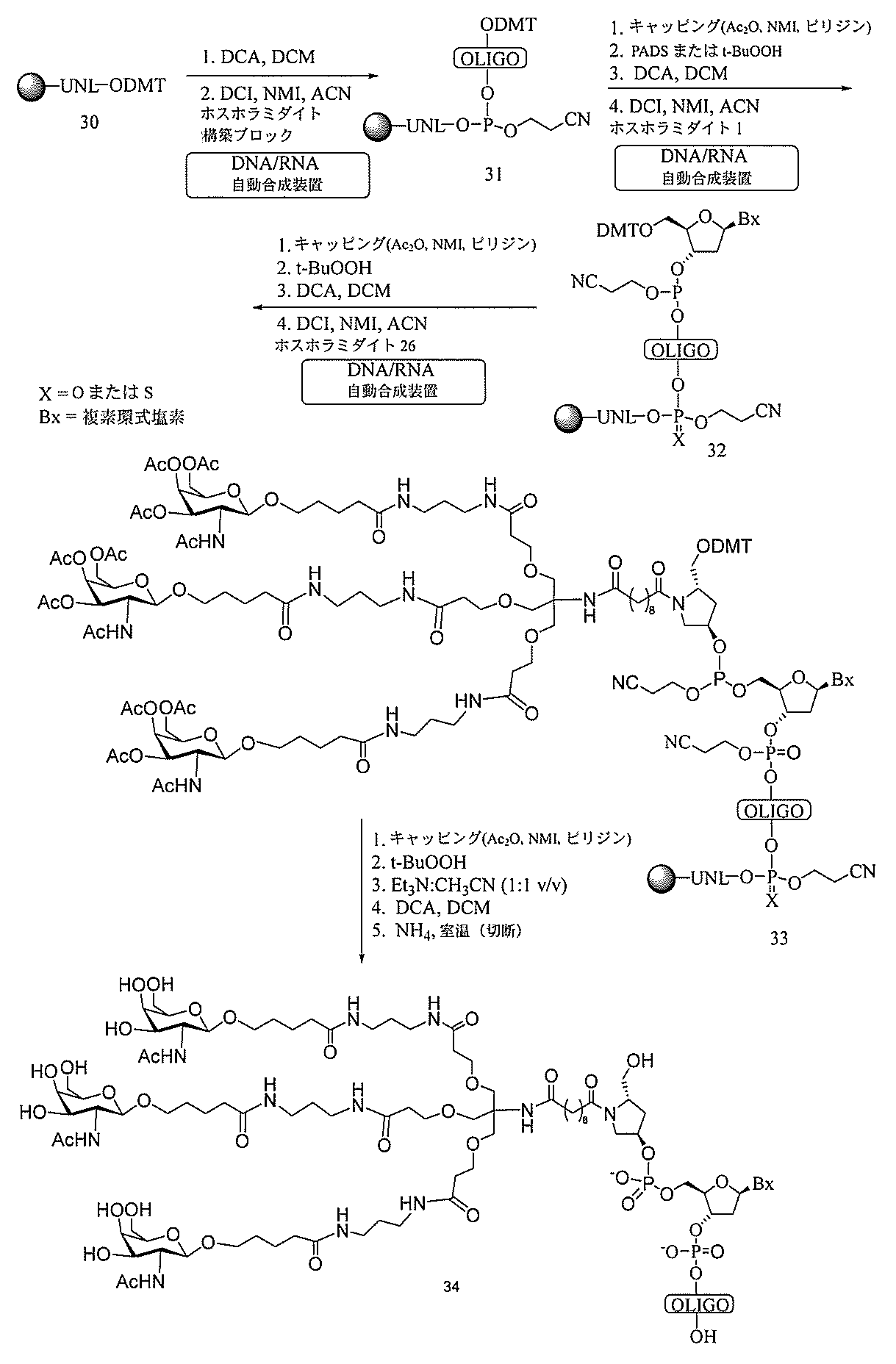 Figure 2022017514000230