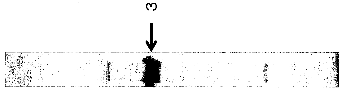 Woa1 癌の検出方法 Google Patents