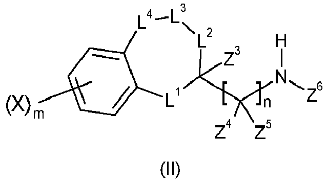 Figure imgb0033