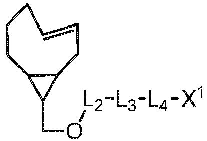 Figure imgb0264