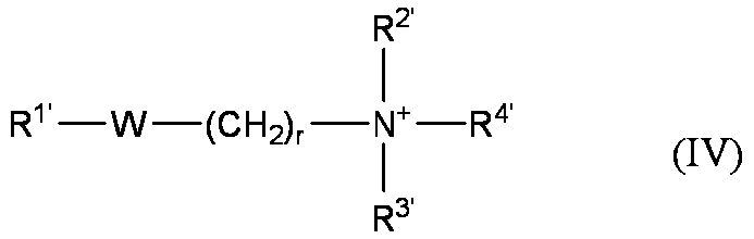 Figure JPOXMLDOC01-appb-C000021