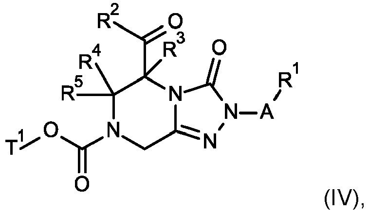 Figure imgb0113