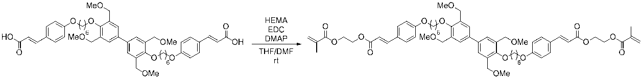 Figure JPOXMLDOC01-appb-C000063