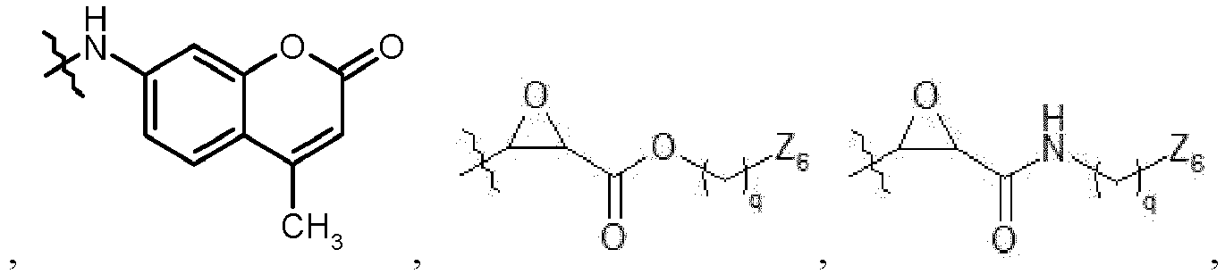Figure imgb0008