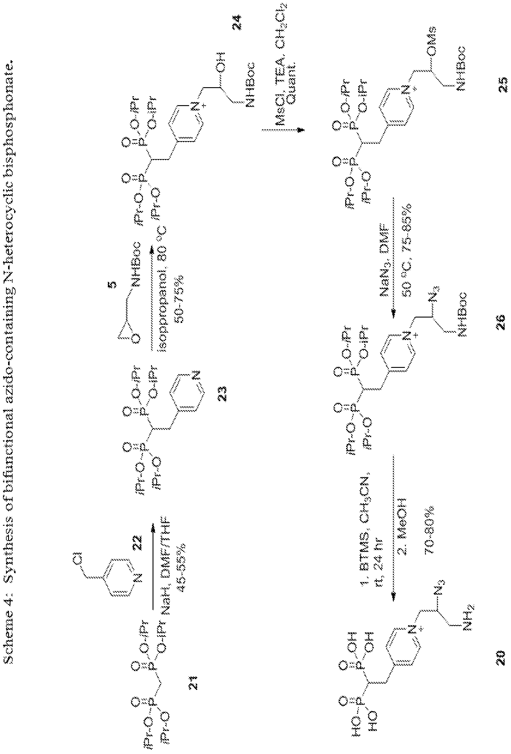 Figure imgf000031_0001