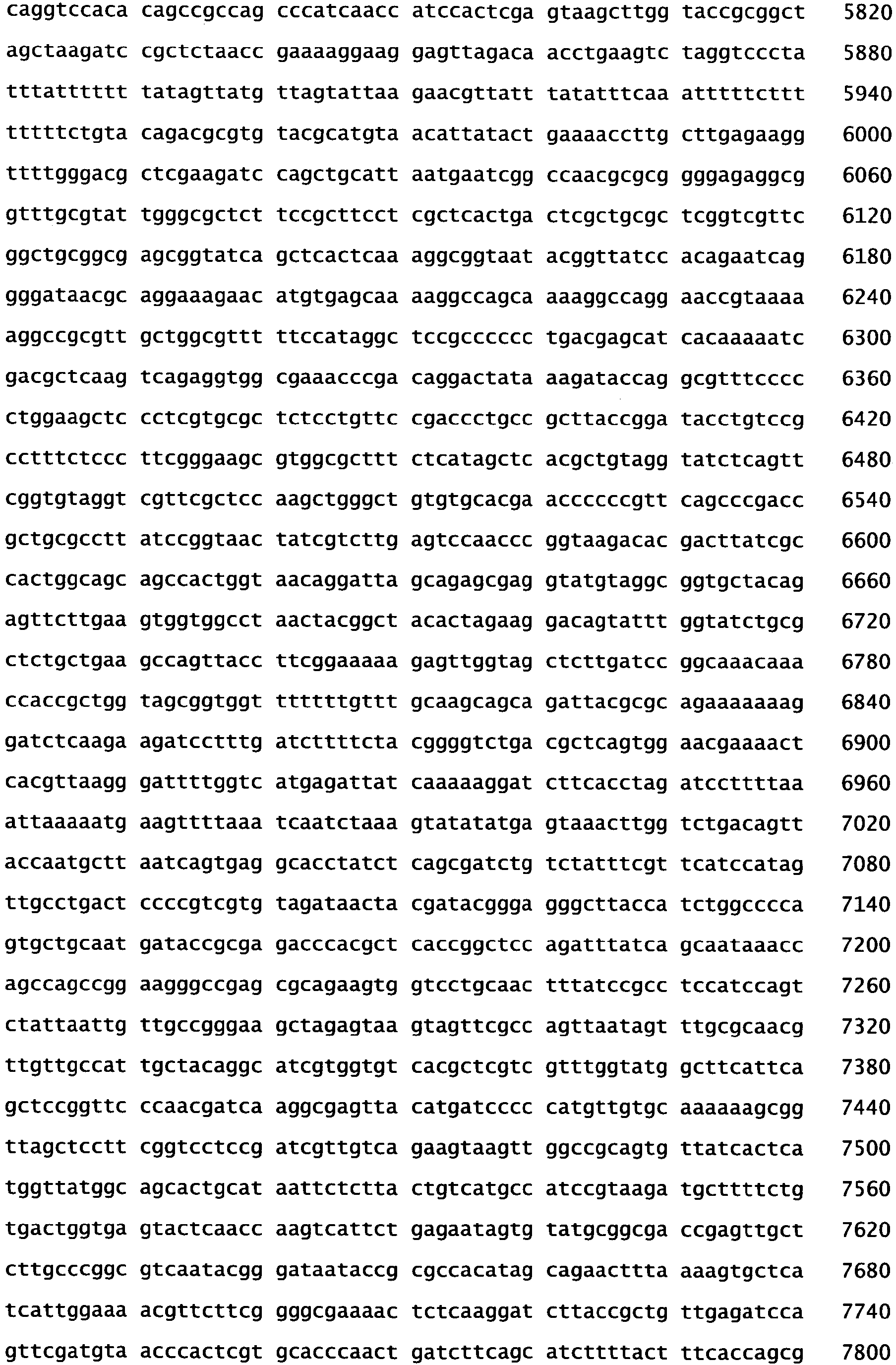 Figure imgb0053