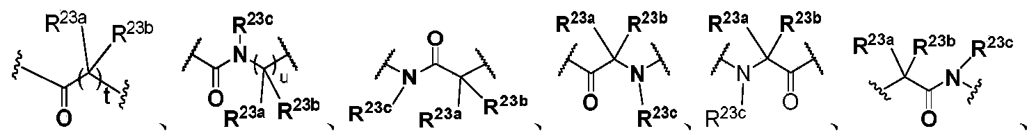 Figure PCTCN2020074696-appb-100002
