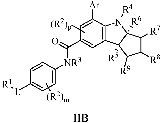 Figure imgb0025