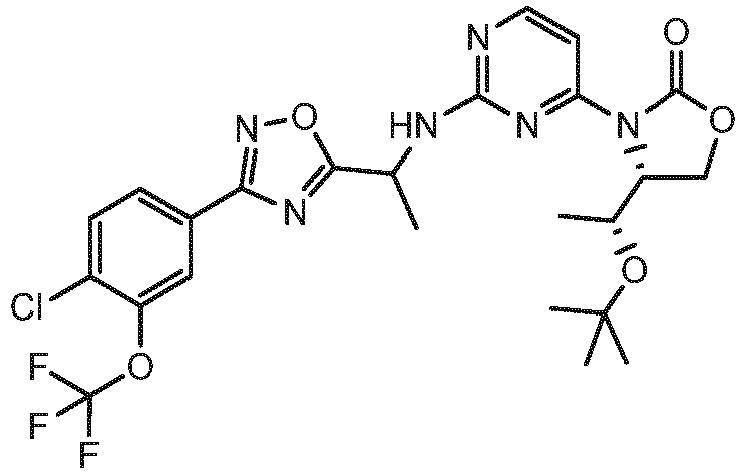 Figure imgb0576