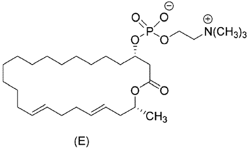 Figure imgb0137