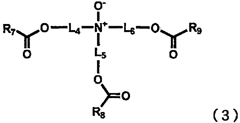 Figure imgb0004