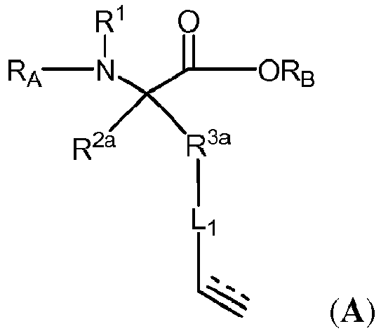 Figure imgb0163