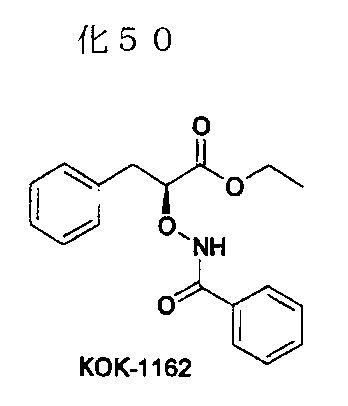 Figure JPOXMLDOC01-appb-C000062