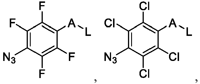 Figure imgb0030
