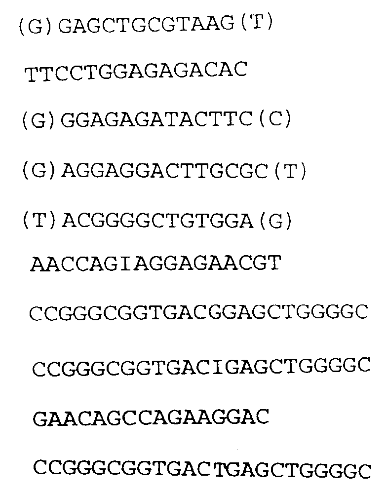 Figure 00420001