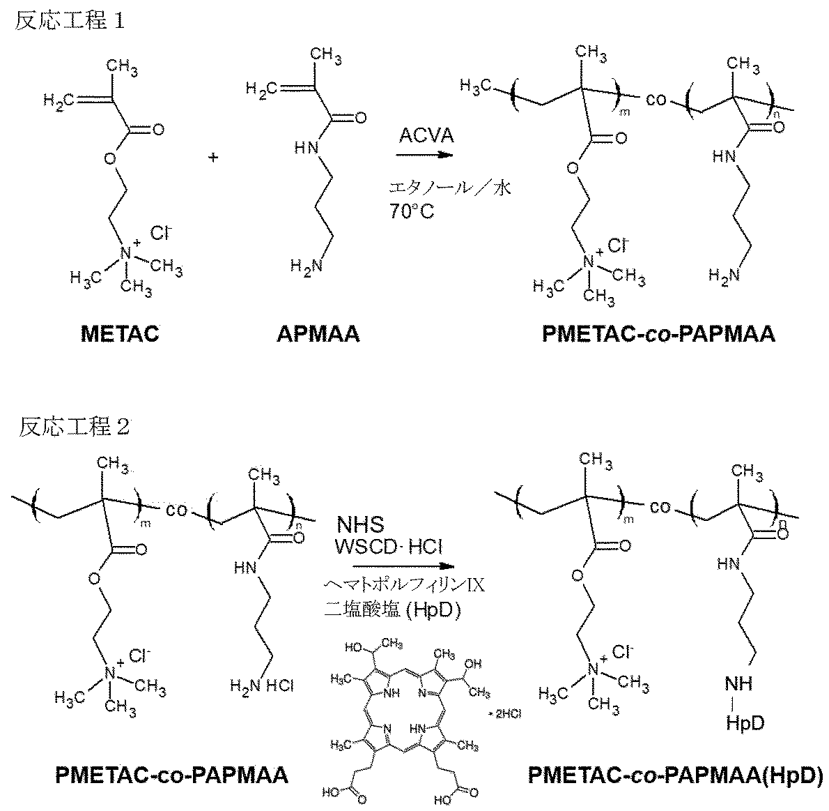 Figure JPOXMLDOC01-appb-C000007