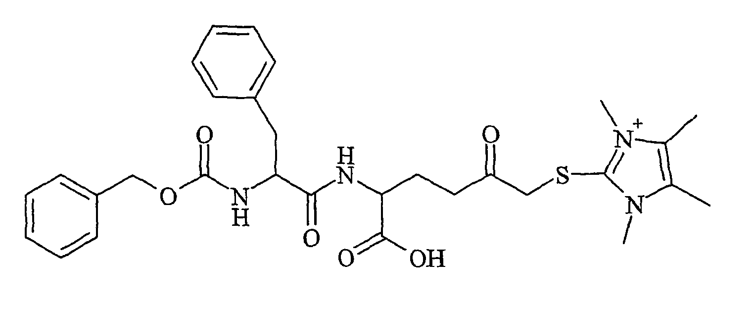Figure imgb0019