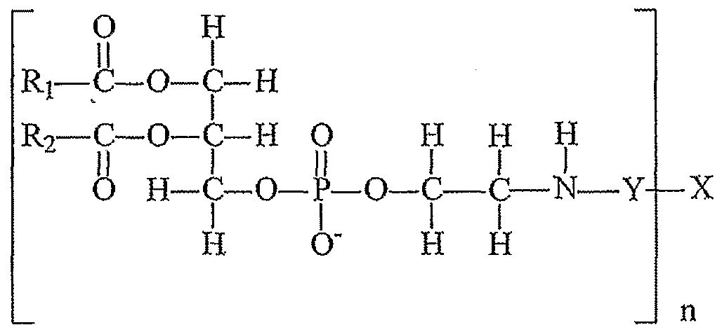 Figure imgf000029_0001