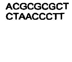 Figure imgb0192