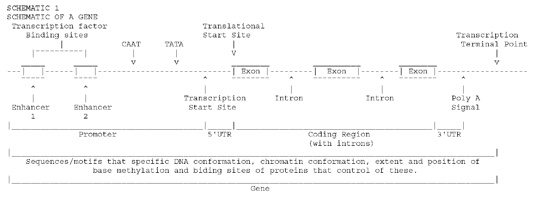 Figure 07590001