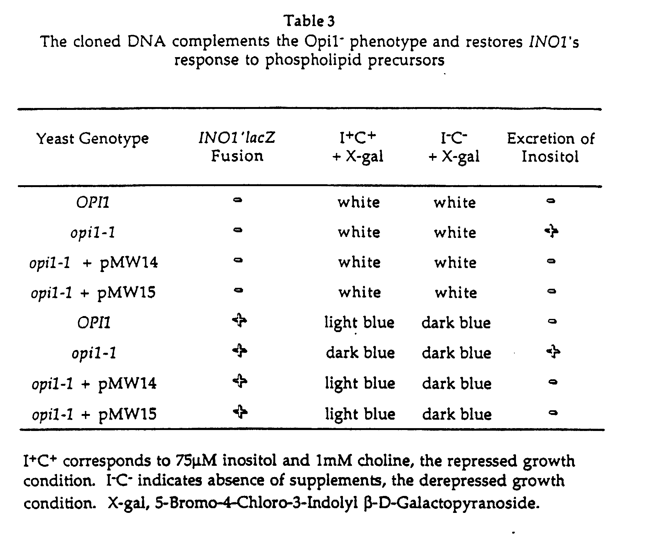 Figure 00230001