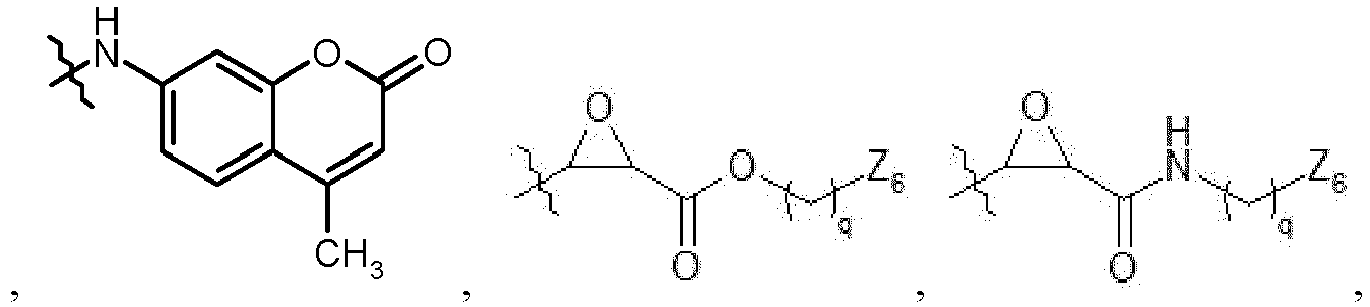 Figure imgb0088