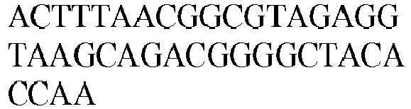 Figure imgb0596