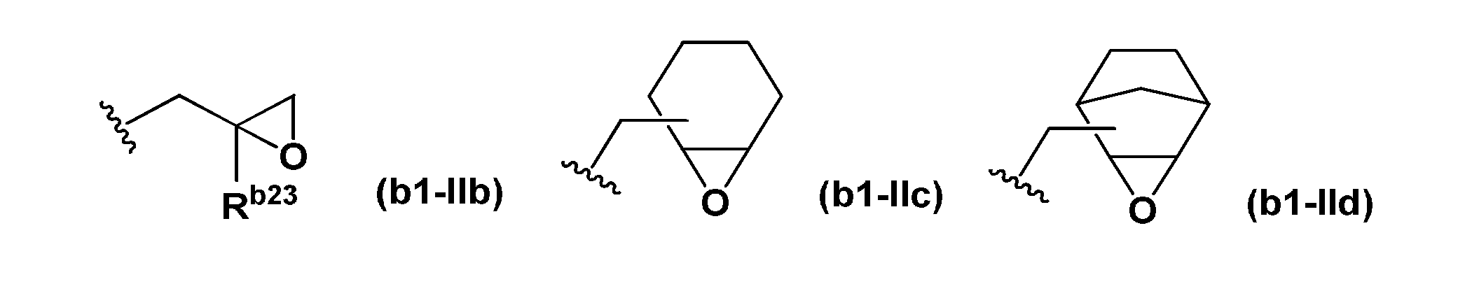 Figure JPOXMLDOC01-appb-C000047