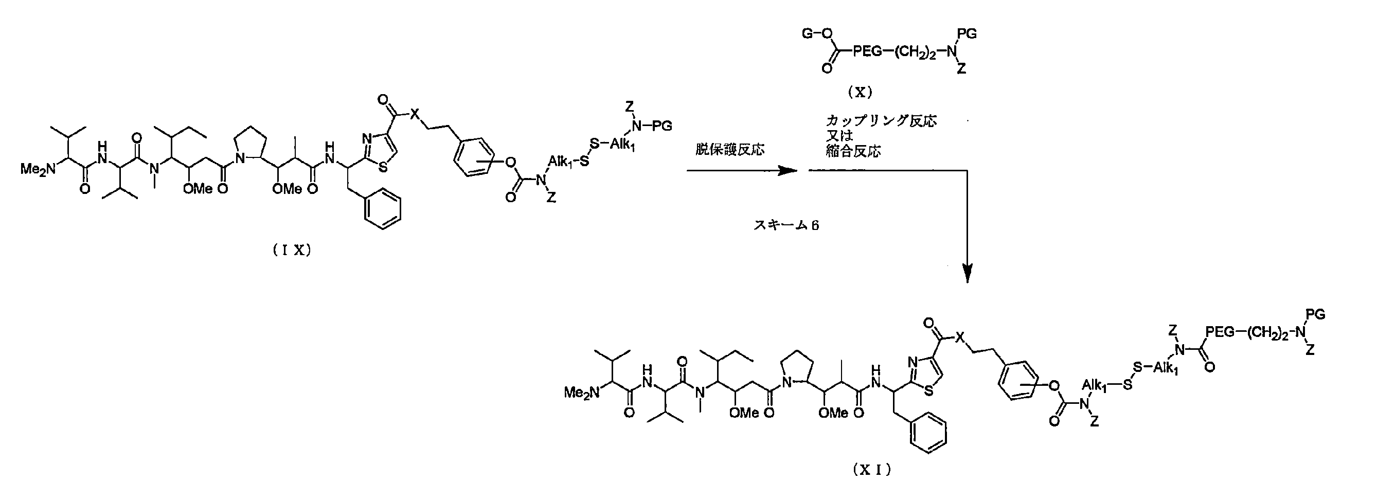 Figure JPOXMLDOC01-appb-C000013