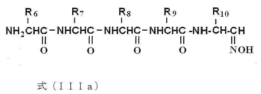 Figure JPOXMLDOC01-appb-C000016