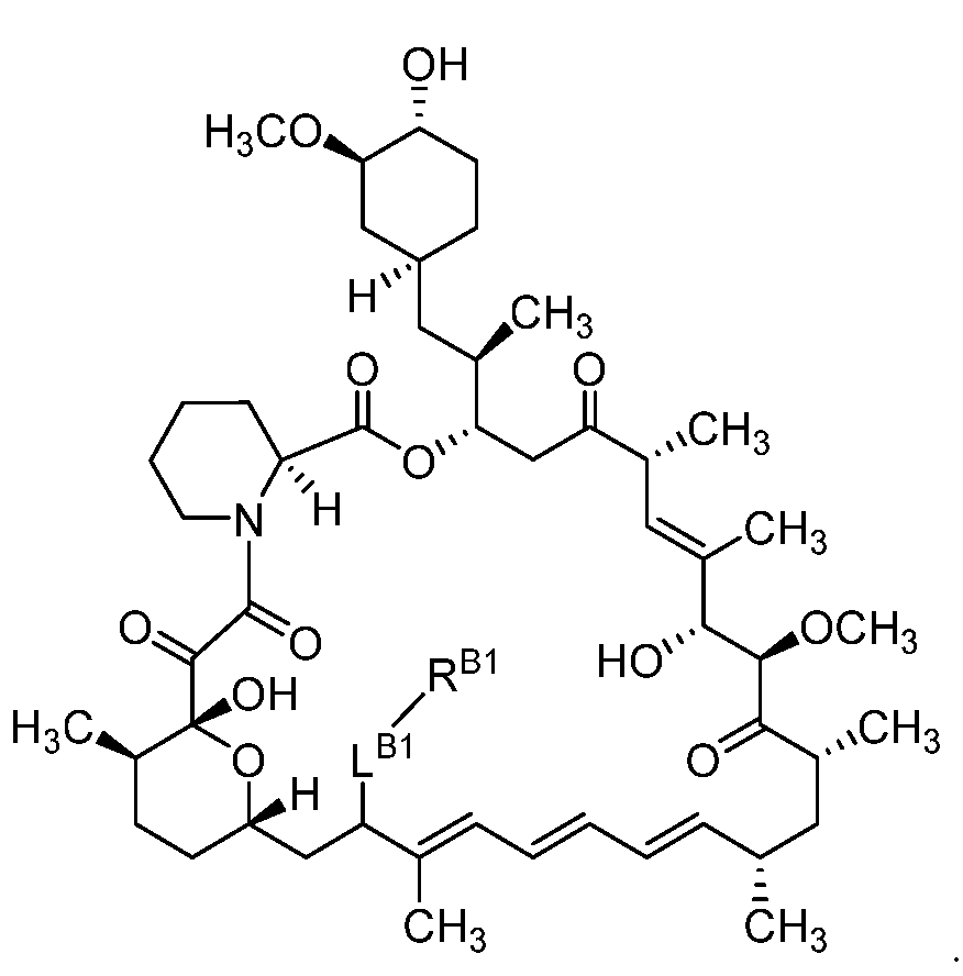 Figure imgf000097_0001