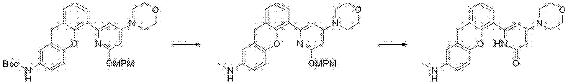 Figure imgb1069