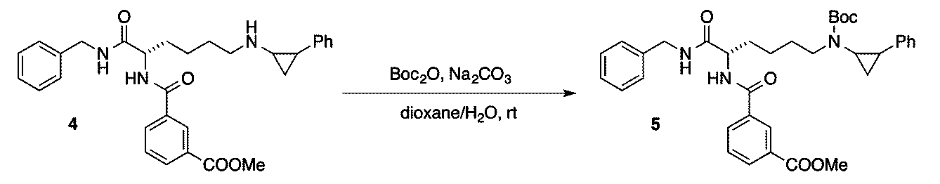 Figure JPOXMLDOC01-appb-C000010