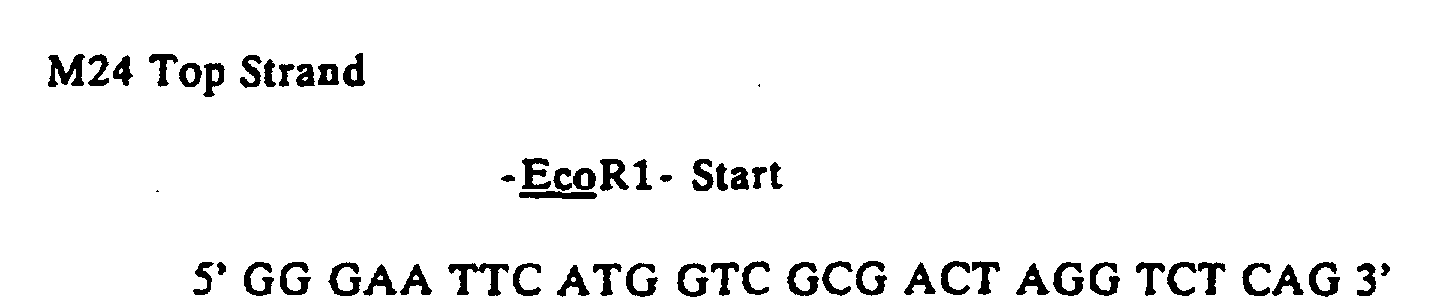 Figure 00200001